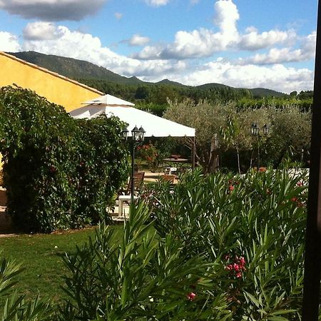 Les Cigales Des Pres Appartement Aups Bagian luar foto